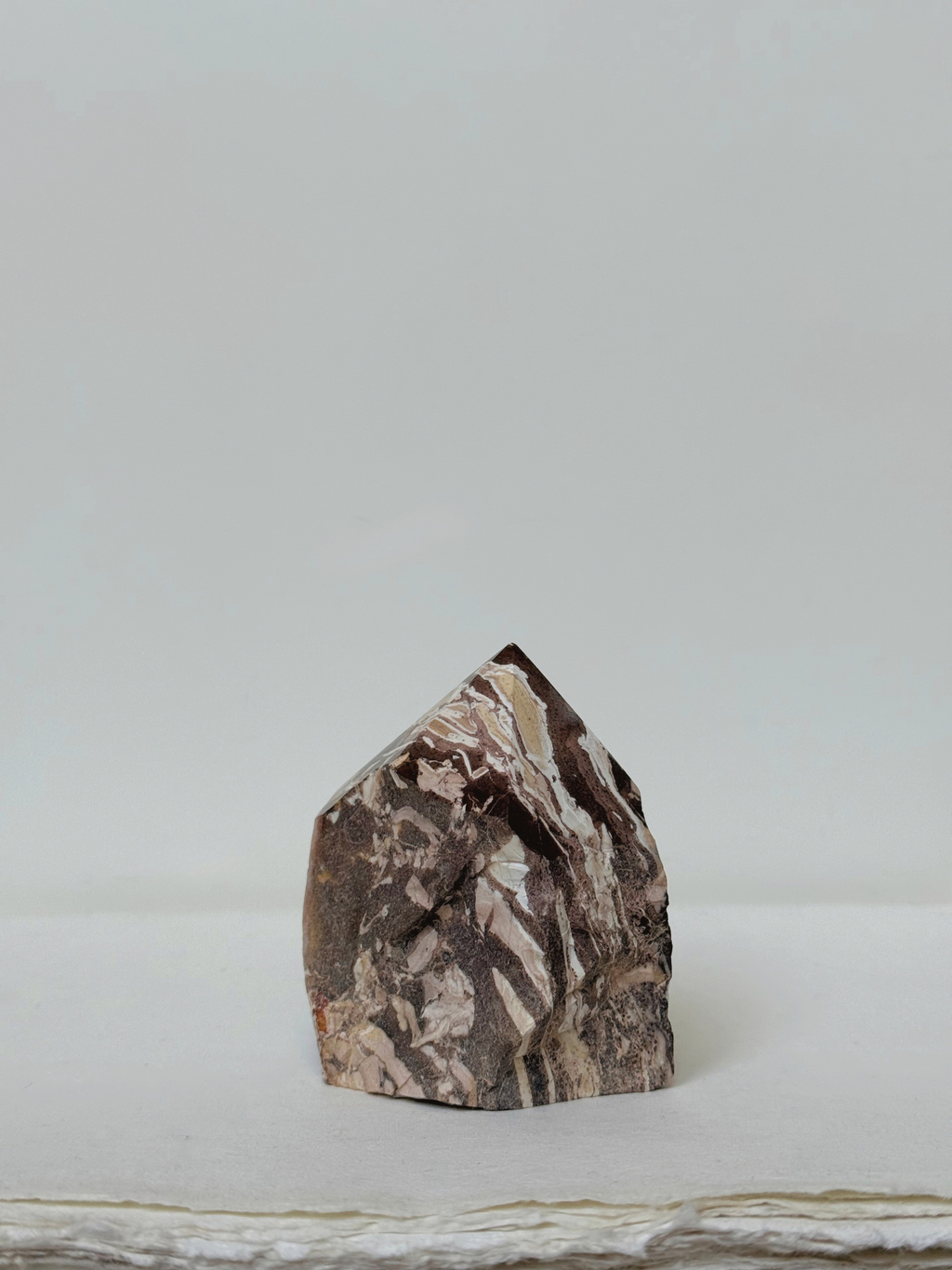 zebra jasper 01