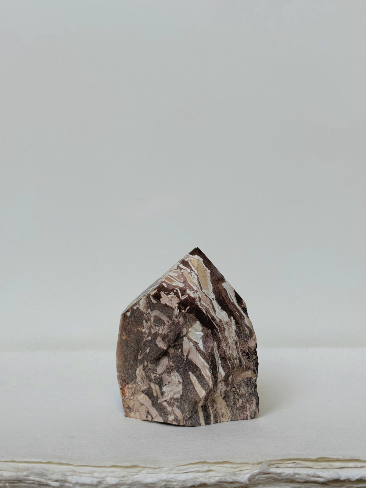 zebra jasper 01