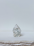 tree agate