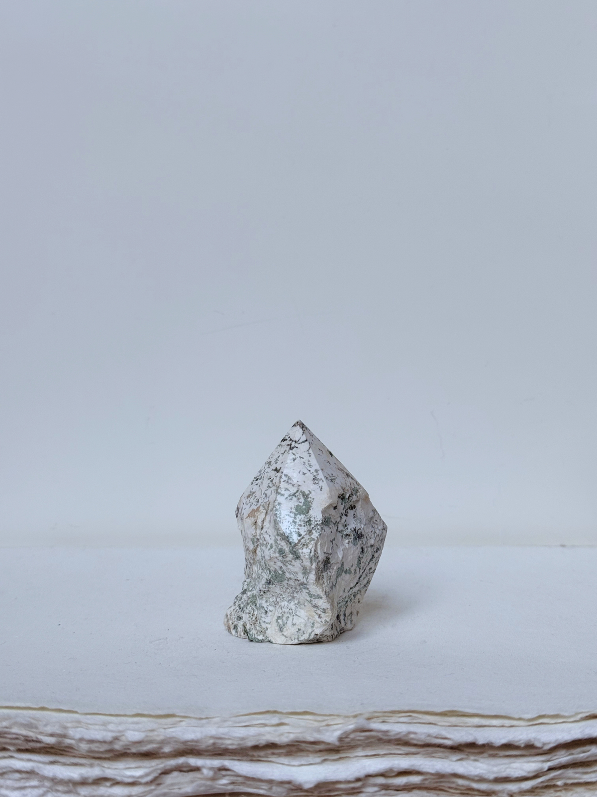 tree agate