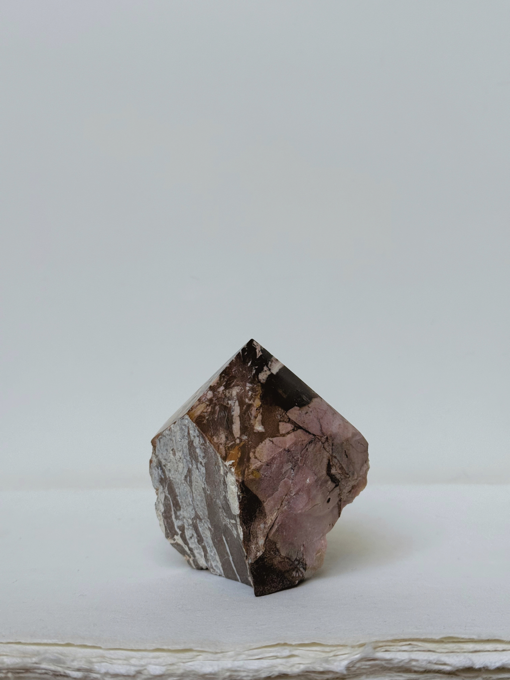 zebra jasper 02