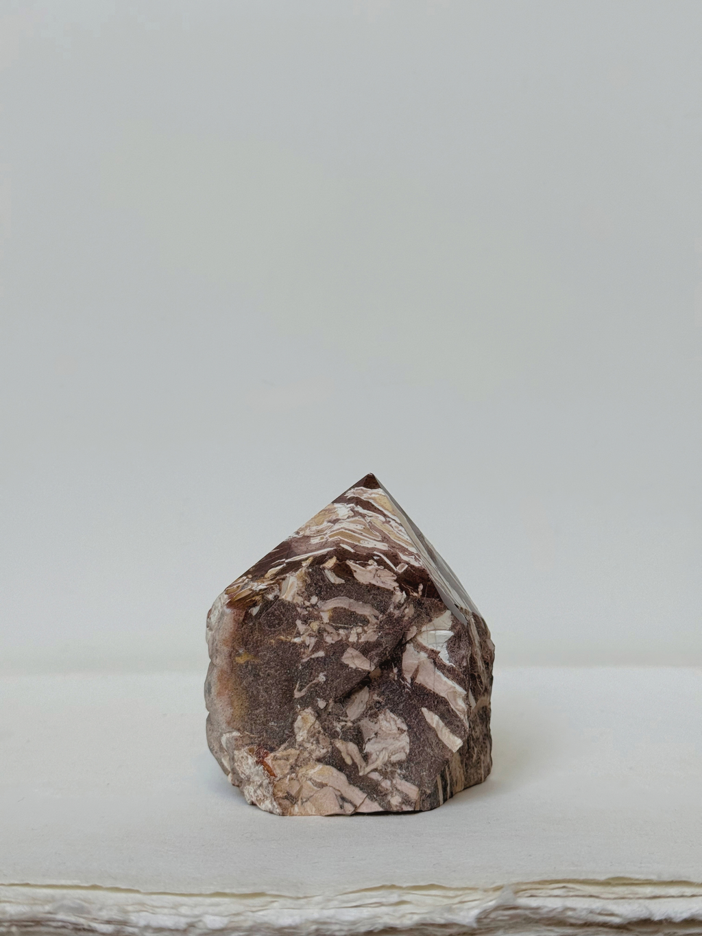 zebra jasper 01