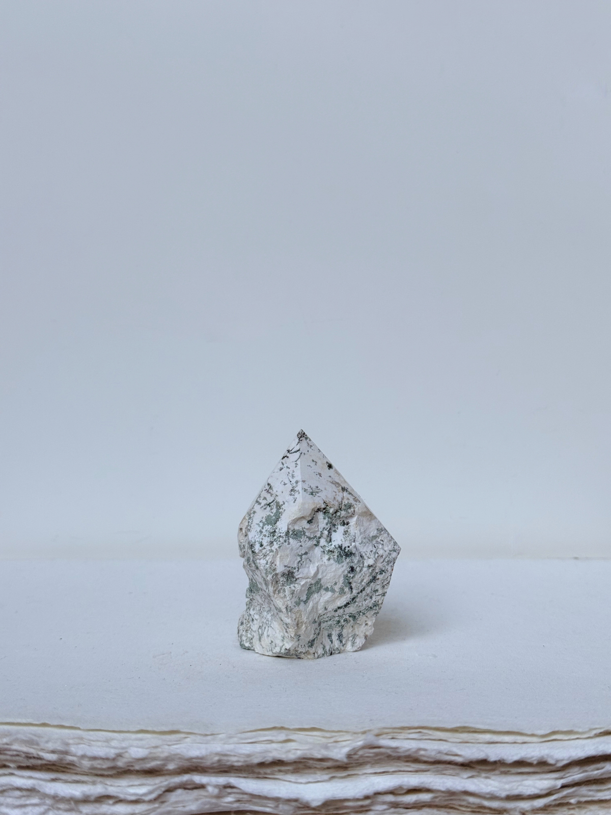 tree agate