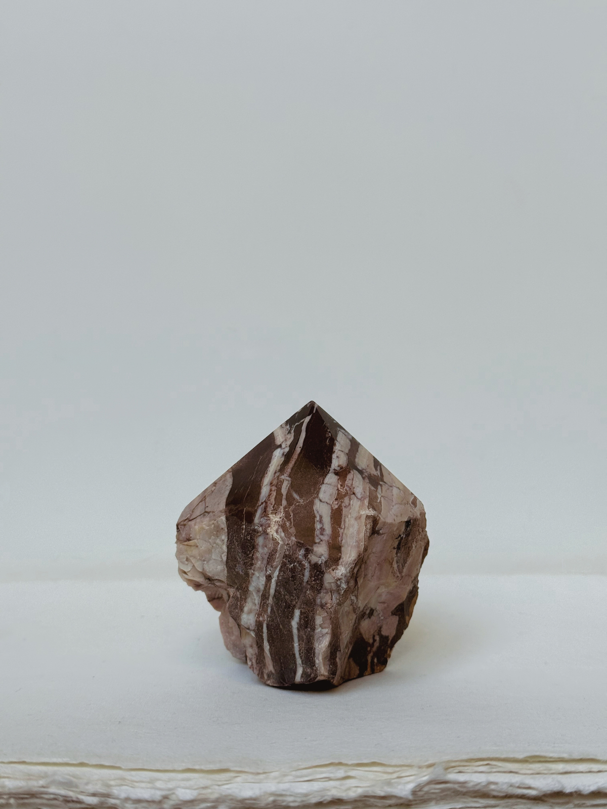 zebra jasper 02