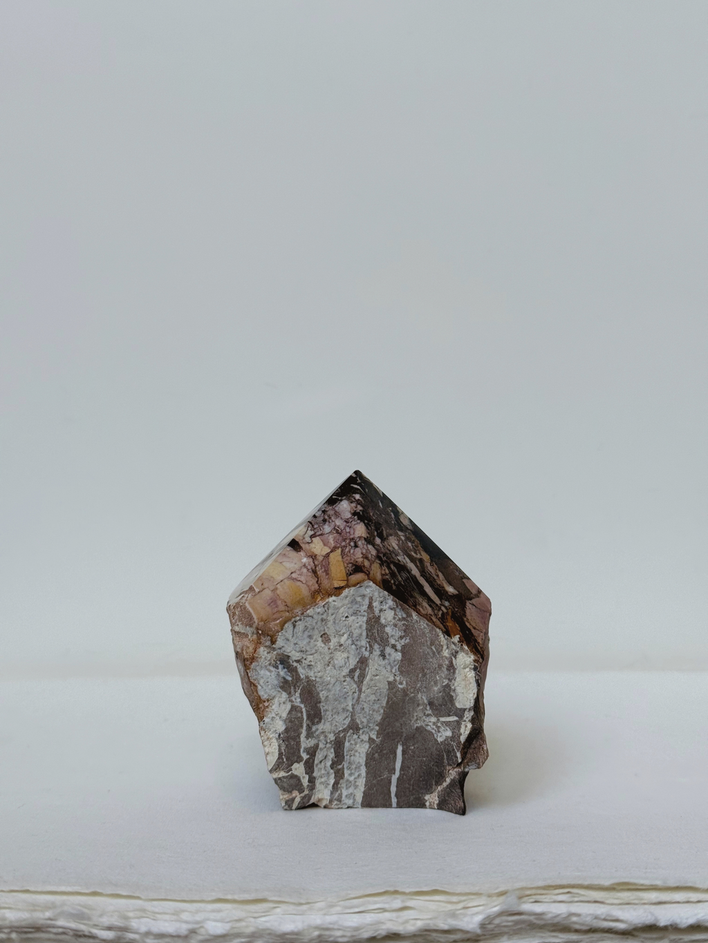zebra jasper 02