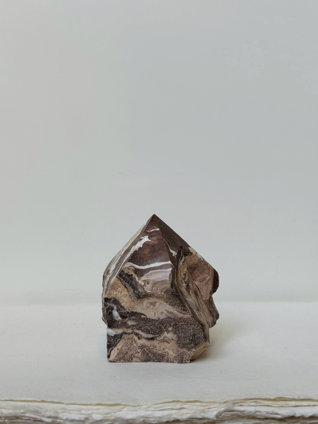 zebra jasper 01