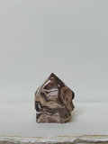 zebra jasper 01