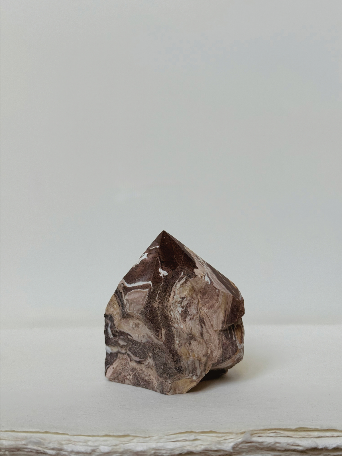 zebra jasper 01