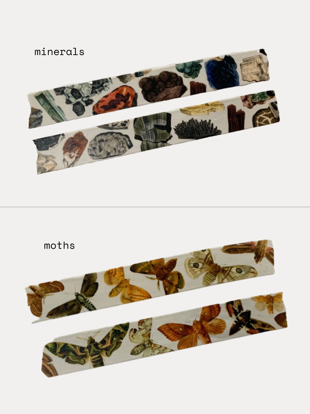vintage-inspired washi tape by The Naturalist's Guild image 1