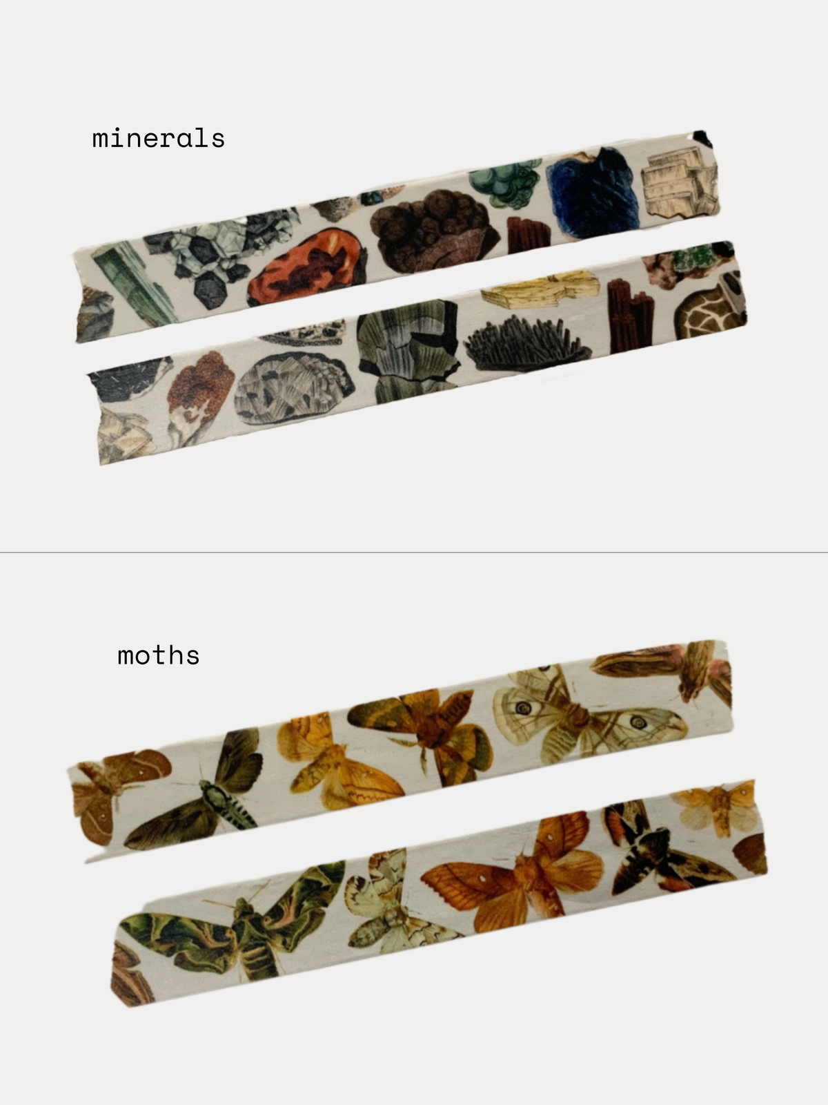 vintage-inspired washi tape by The Naturalist's Guild image 1