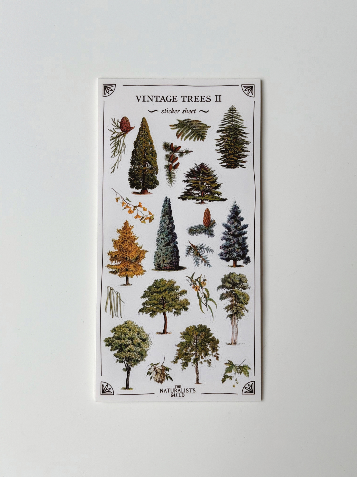stickers by The Naturalist's Guild image 6