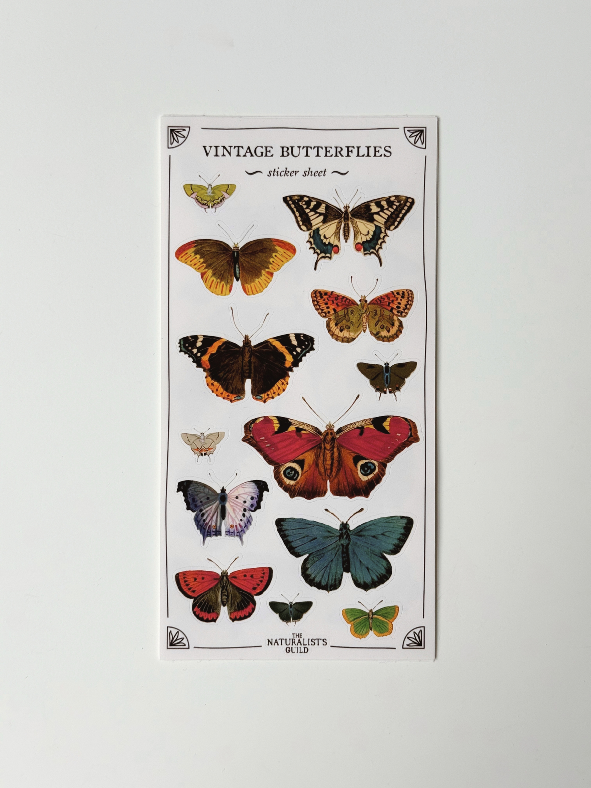 stickers by The Naturalist's Guild image 9