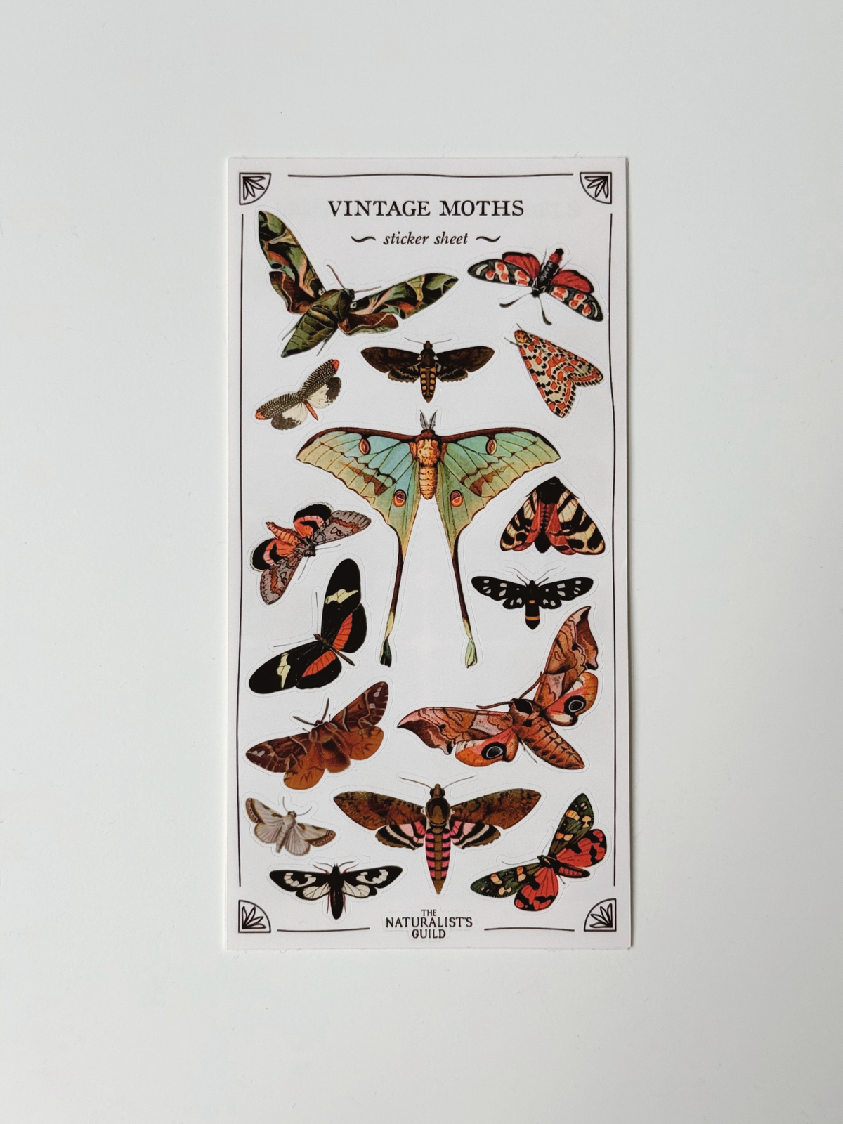 stickers by The Naturalist's Guild image 8