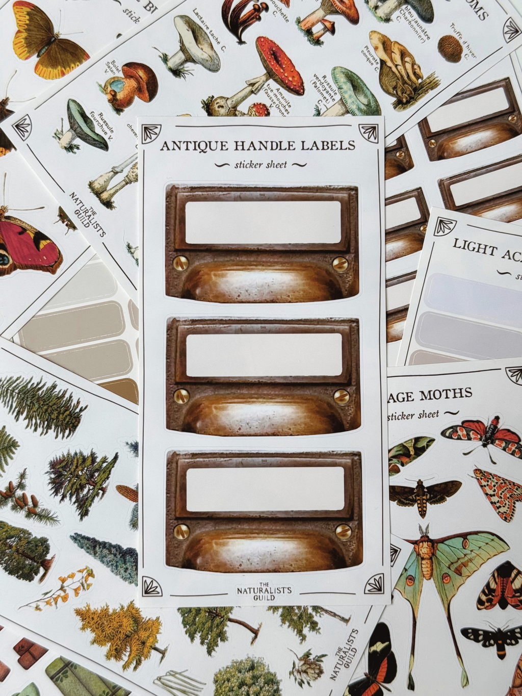 stickers by The Naturalist's Guild image 0