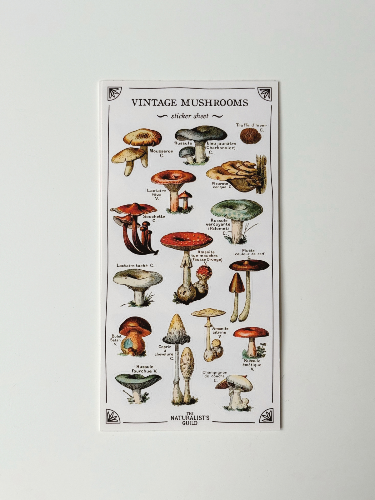 stickers by The Naturalist's Guild image 7
